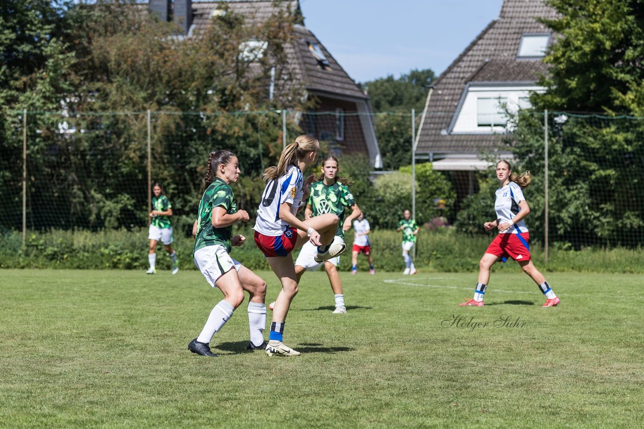 Bild 219 - wBJ Hamburger SV - VfL Wolfsburg : Ergebnis: 5:1